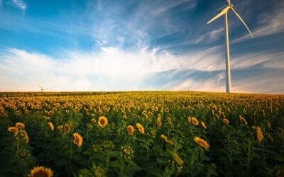 The Ins and Outs of Comparing UK Energy Deals: Your Ultimate Guide