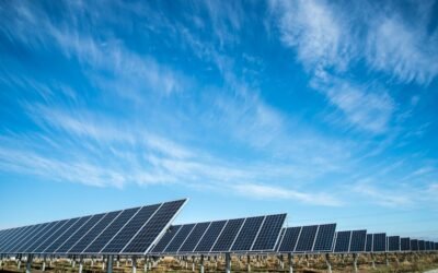 Discover the Secrets to Drastically Lowering Your Energy Bills and Enjoying More Disposable Income