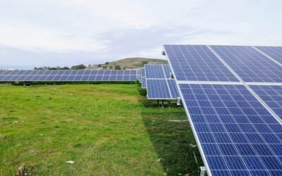 From Solar to Wind: A Guide to Government Energy Schemes in the UK