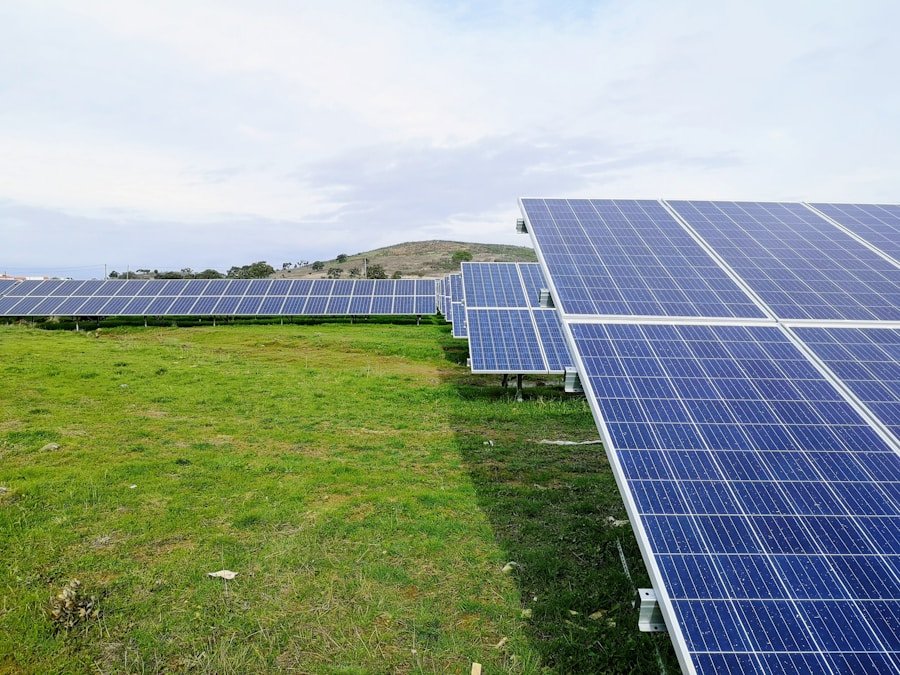 From Solar to Wind: A Guide to Government Energy Schemes in the UK