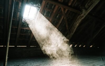 Beat the Chill: Essential Home Insulation Tips for a Cosy Winter
