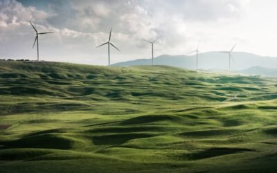 Upgrade Your Home with Energy-Efficient Appliances: A Step-by-Step Guide to a Greener Lifestyle