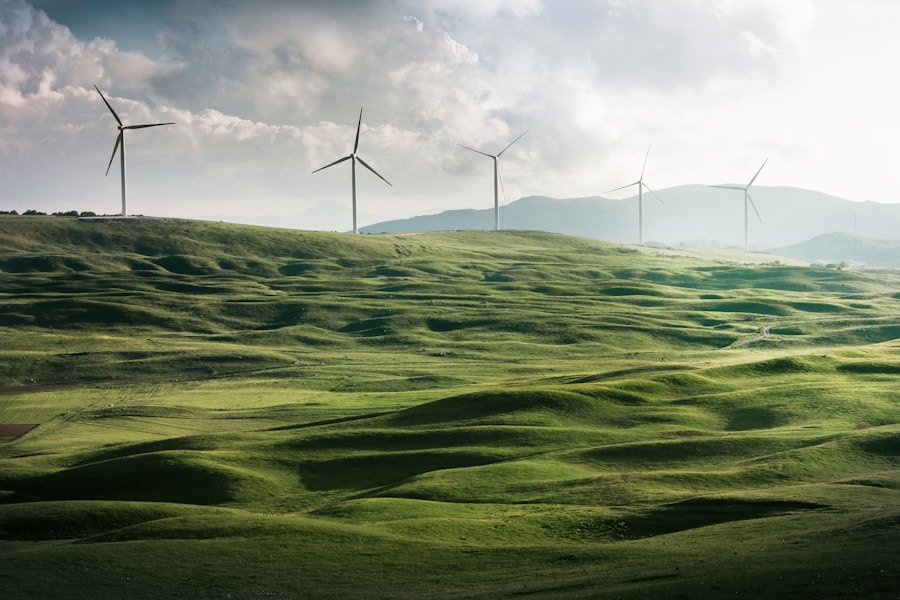 Upgrade Your Home with Energy-Efficient Appliances: A Step-by-Step Guide to a Greener Lifestyle