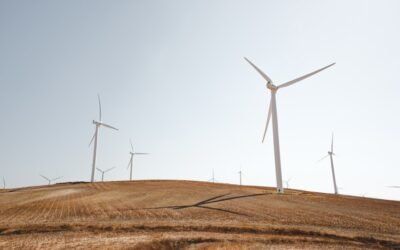 Don\’t Miss Out on These Top Green Energy Deals of the Year