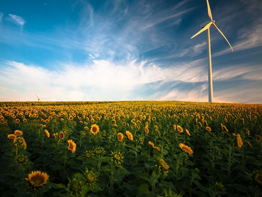 When is the Best Time to Switch Energy Providers in the UK?